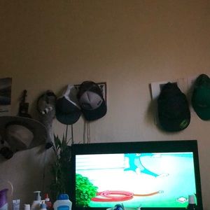 Meet your Posher, Sofia